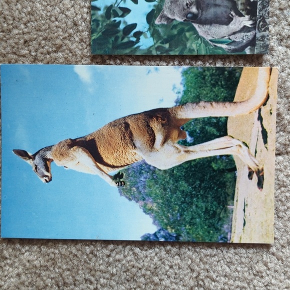 Vintage Australian Postcards - Picture 2 of 6